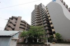 日当たり・通風良好な立地です。